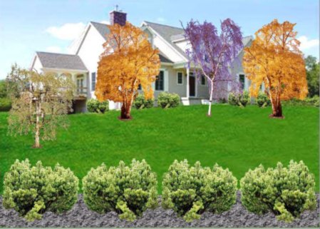 Landscape Vision for Great Landscape Design